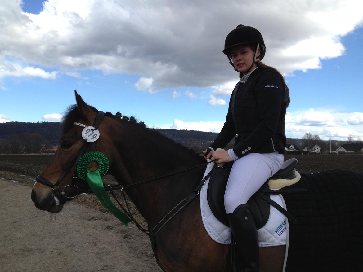 New Forest Odden's Daytonna A-Pony - Verdens sejeste - 4.plads i Small Tour i Norge, Drammen og vores første internationale stævne! 2013 billede 8