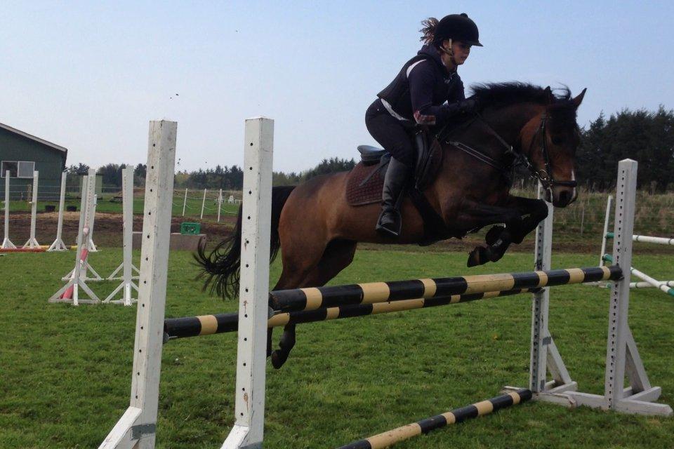 New Forest Odden's Daytonna A-Pony - Spring træning d. 16 maj 2013 - 110 cm :-) billede 5