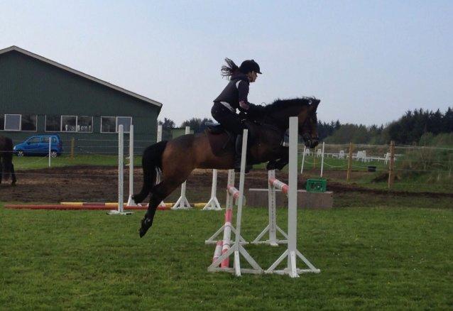 New Forest Odden's Daytonna A-Pony - 16.maj 2013<3 billede 17