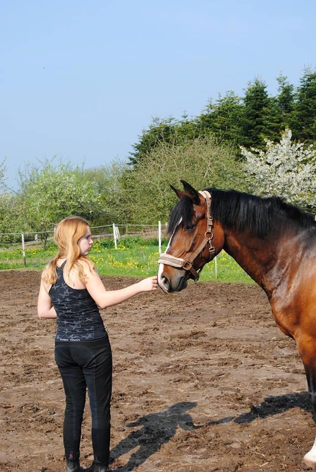 Anden særlig race Miss Patricia billede 21