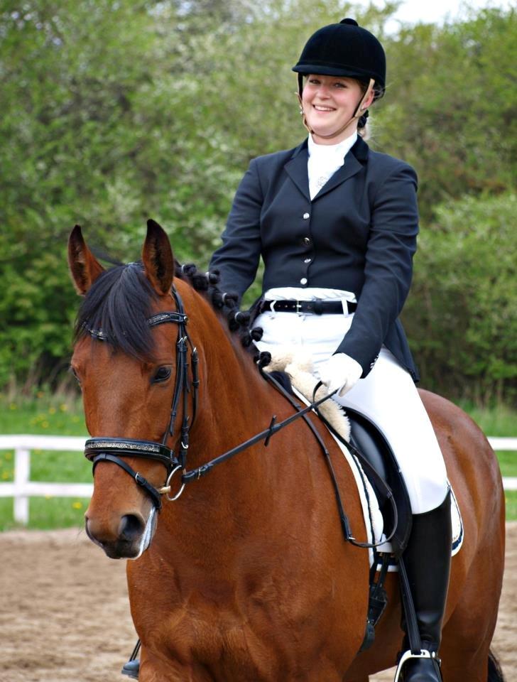 Dansk Varmblod Tanholms Triumph billede 19