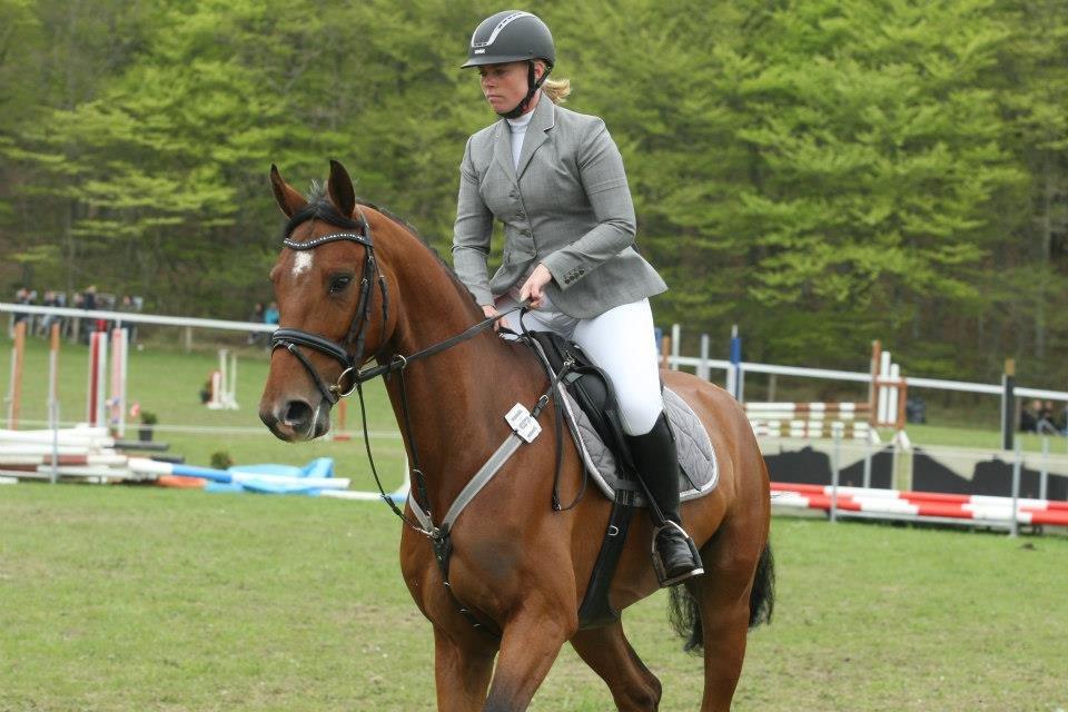 Dansk Varmblod Hoeck's Caliscan billede 13