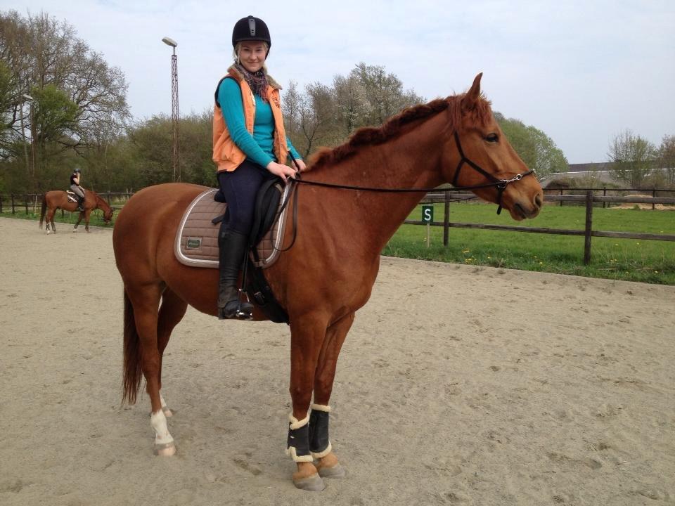 Tysk Oldenburger Immernenz (Bimmer) <3 billede 19