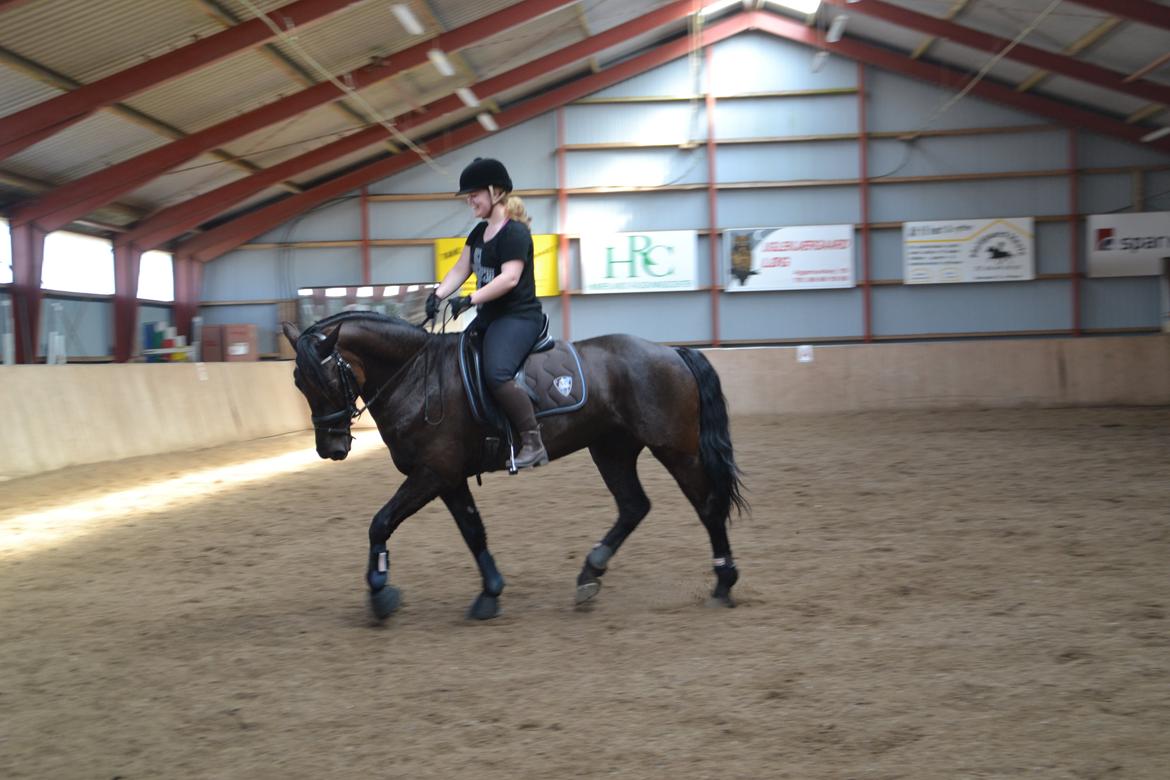 Anden særlig race Fie * My soulmate* <3 - Skat! <3 billede 11