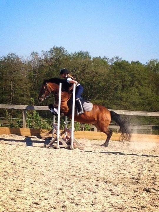 Anden særlig race Stjerne billede 7