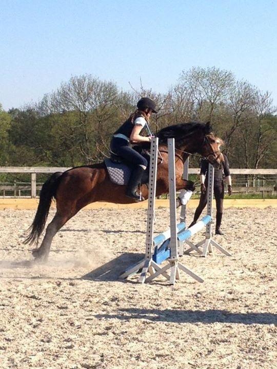 Anden særlig race Stjerne billede 8