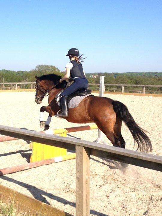 Anden særlig race Stjerne billede 9