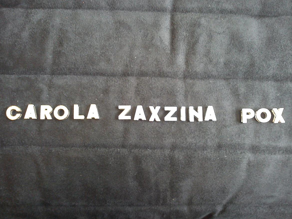 Arabisk fuldblod (OX) Carola Zaxzina Pox billede 11