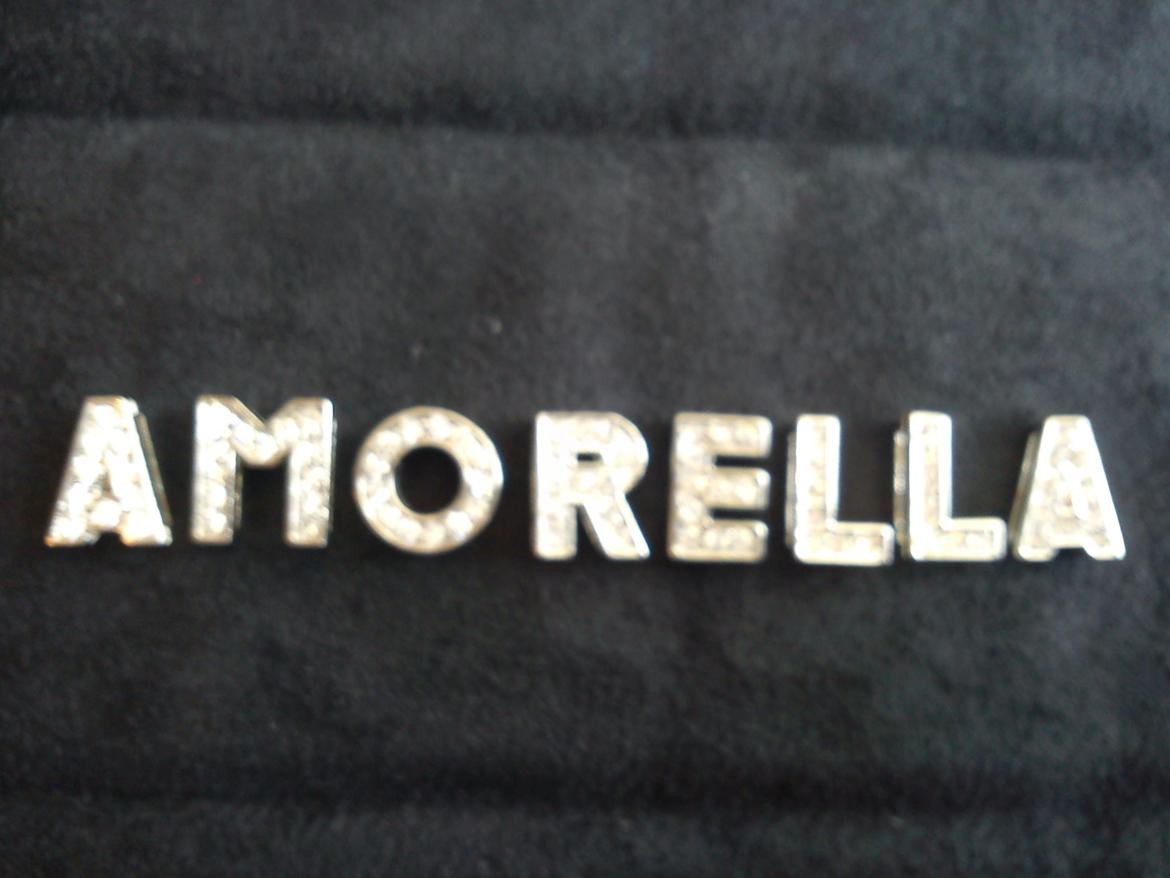 Arabisk fuldblod (OX) Amorella (rella) billede 16