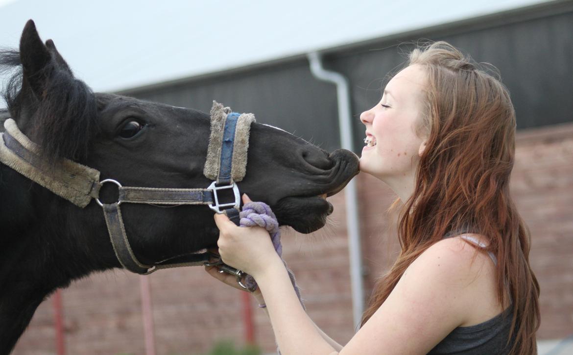 Pinto Moesgaards Baloo. - Lovee <3 12 måneder. 17 maj 2013  billede 21