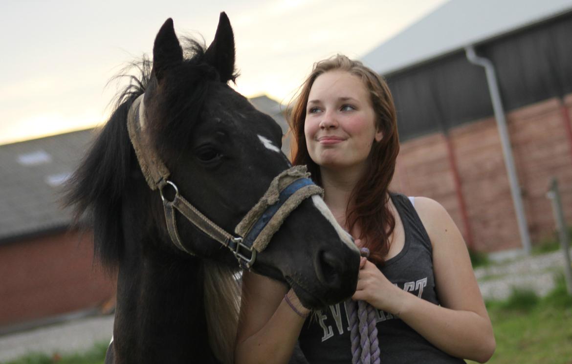 Pinto Moesgaards Baloo. - Verdens mest fantastiske skabning! 12 måneder <3 17. maj 2013 billede 23