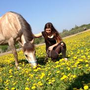 Connemara Moneyveen Smokie