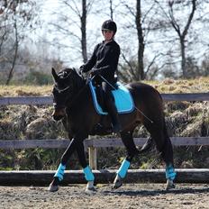 Anden særlig race After Eight´s Chanel