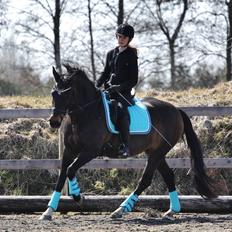 Anden særlig race After Eight´s Chanel