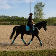 Oldenborg » Baxter