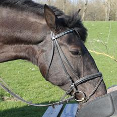 Oldenborg | Chess - Prinsessen & Min Soulmate - R.I.P 