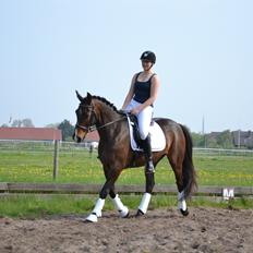 Oldenborg Brunør II