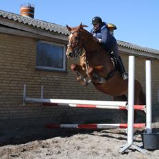 Frederiksborg Mille brandslund