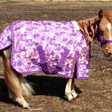 Dansk Miniature Milo <3 aka syge eller ponymature <3 