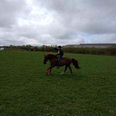 Anden særlig race Mr. Lonely [Der var engang..]