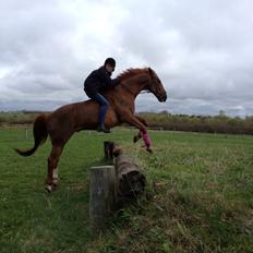 Anden særlig race Mr. Lonely [Der var engang..]