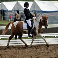 Anden særlig race Trebjerregårds Grand Manier