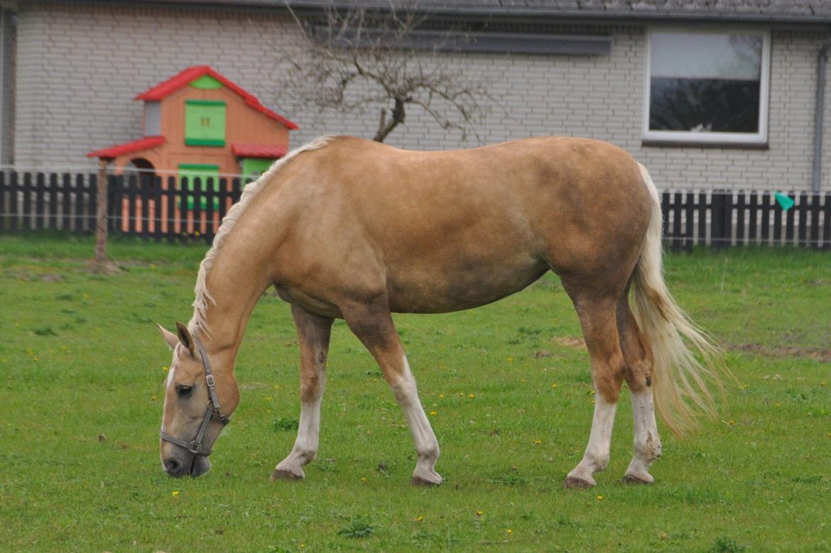 Frederiksborg Santini Vejleby billede 9