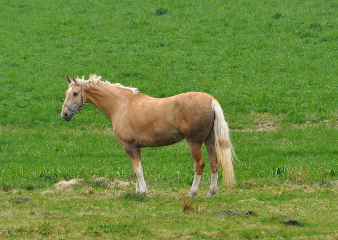 Frederiksborg Santini Vejleby billede 14