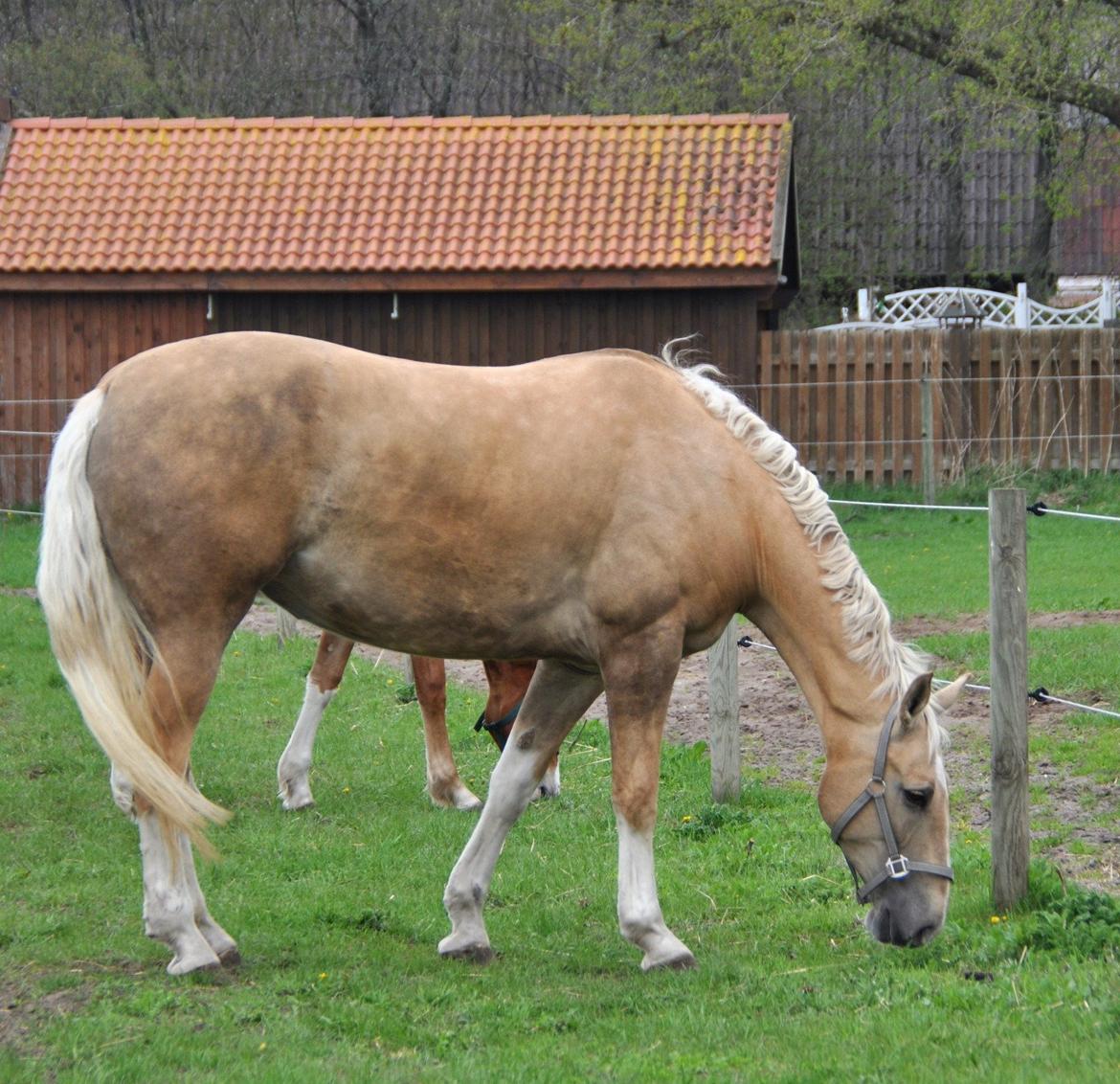 Frederiksborg Santini Vejleby billede 16