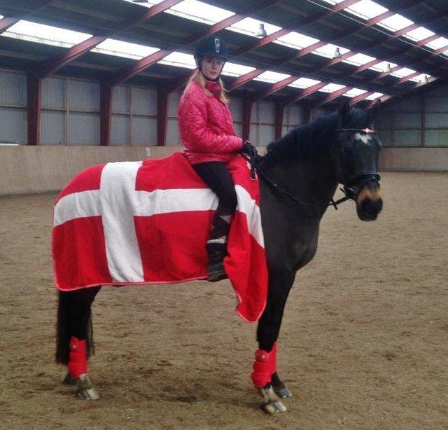 Anden særlig race After Eight´s Chanel billede 5