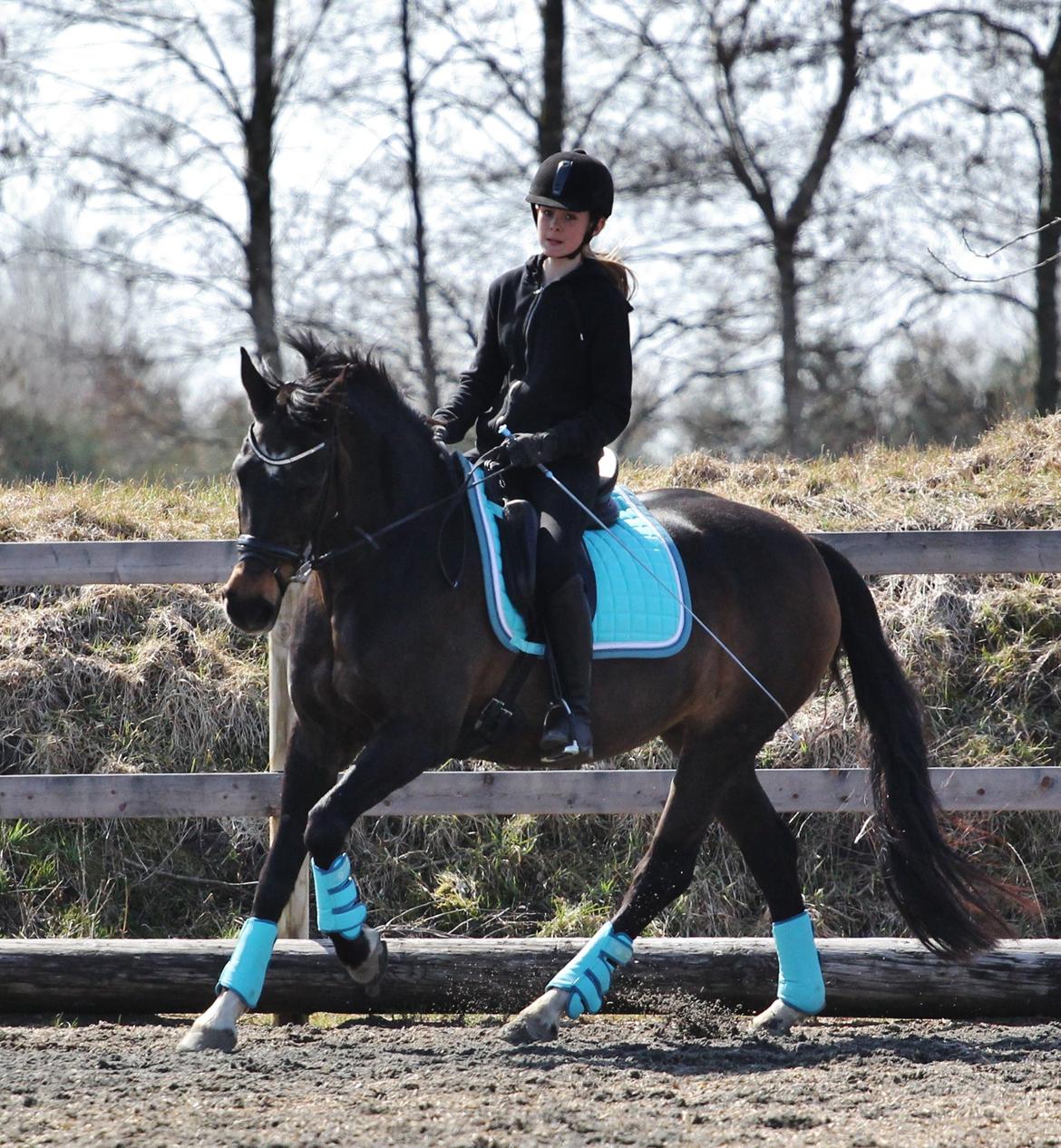 Anden særlig race After Eight´s Chanel billede 2