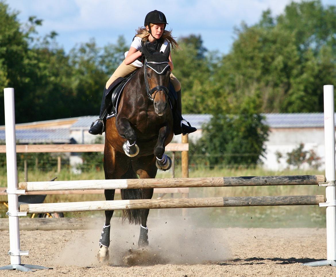 Anden særlig race After Eight´s Chanel billede 11