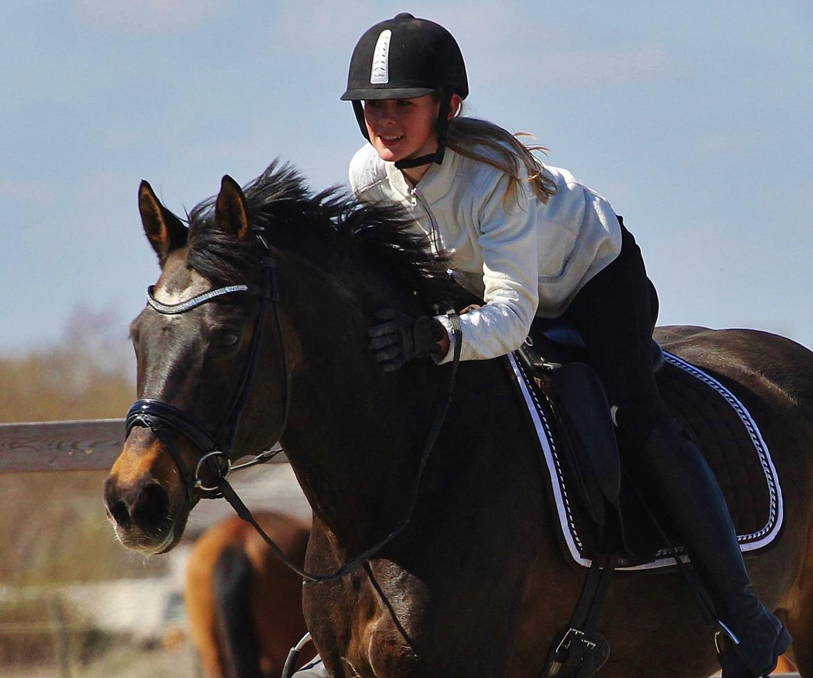 Anden særlig race After Eight´s Chanel billede 1