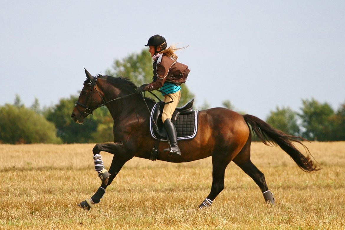Anden særlig race After Eight´s Chanel billede 18