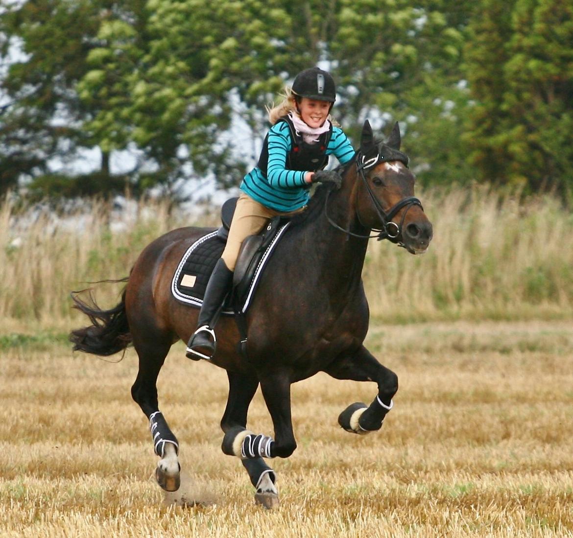 Anden særlig race After Eight´s Chanel billede 19