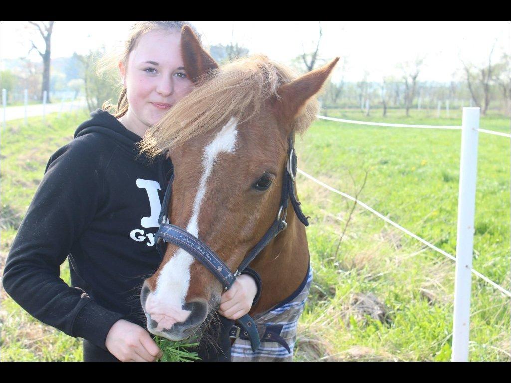 Anden særlig race Krogsgaards jessie billede 9