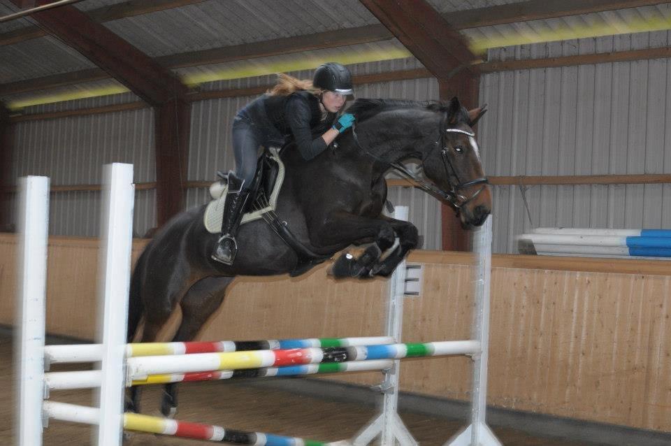 Dansk Varmblod Duelunds Lousenza (Baby) - Min dejlige springmusse. Springkursus 2012 billede 7