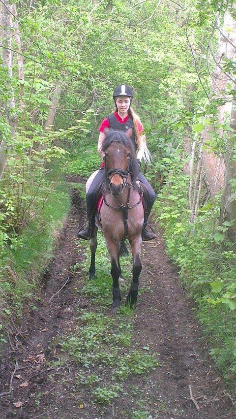 Anden særlig race Manou  *Klubmester spring 2012* - på skovtur:-) billede 11