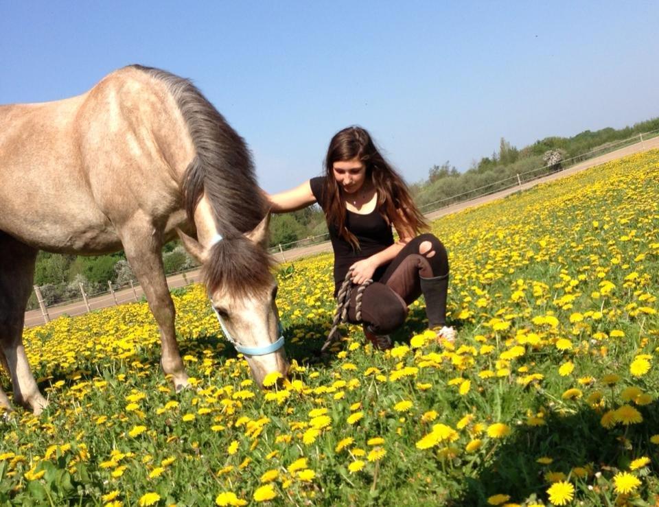 Connemara Moneyveen Smokie billede 1