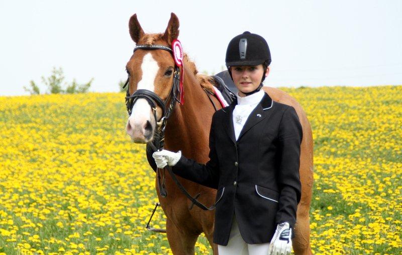 Tysk Sportspony Sky S billede 3