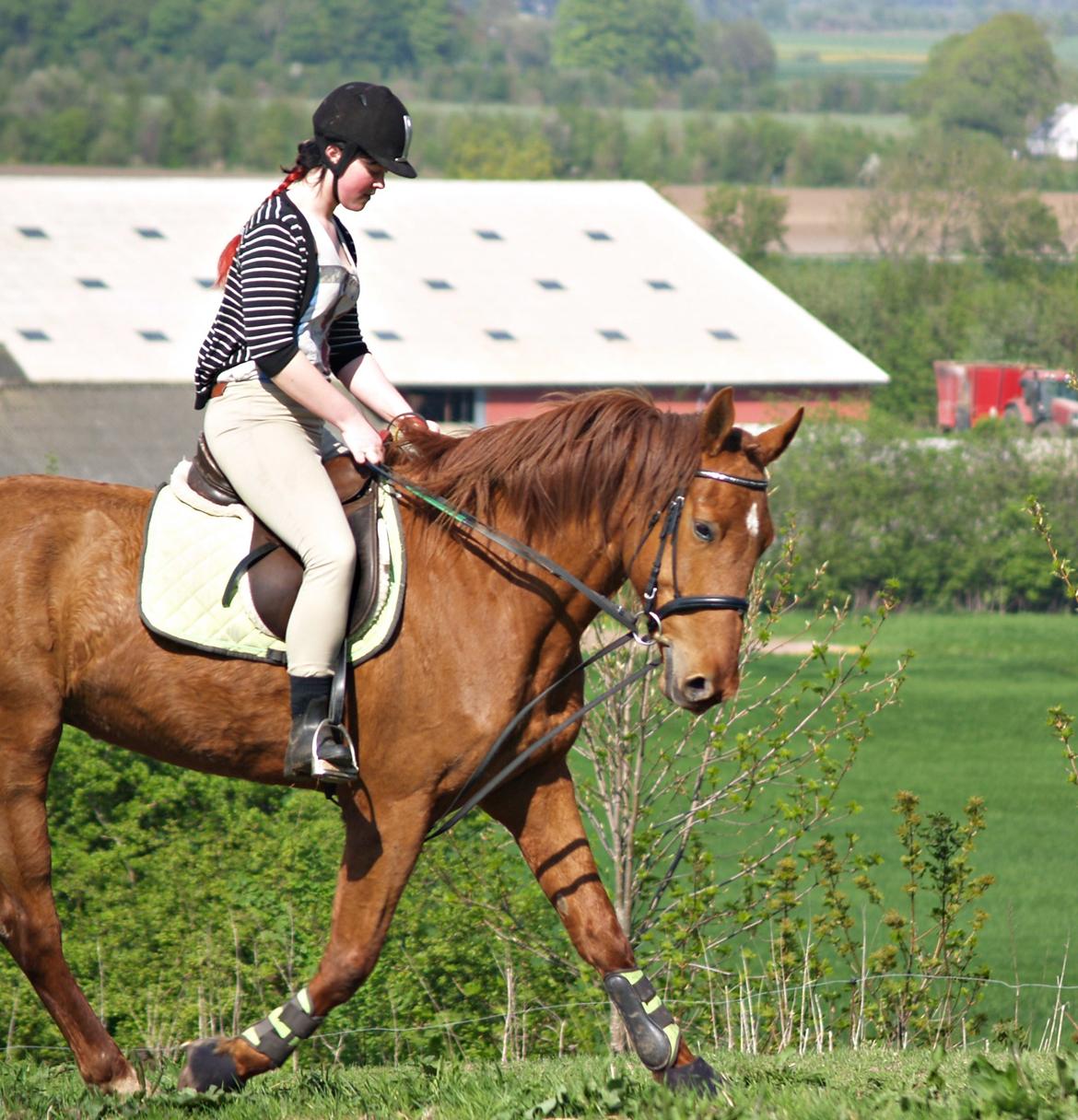 Anden særlig race Sheffield *min Baby*<3 - „Når jeg er sammen med dig, har jeg ikke behov for andet, for du er den jeg har behov for“ billede 14