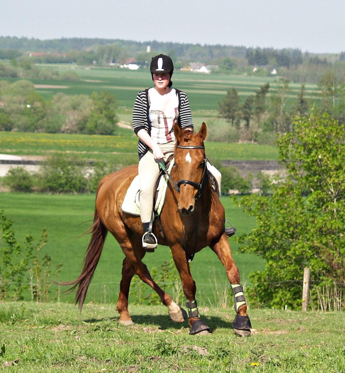 Anden særlig race Sheffield *min Baby*<3 - „Venner er venner, i nutid og datid, men vi to er venner, for evigt og altid.“ billede 19