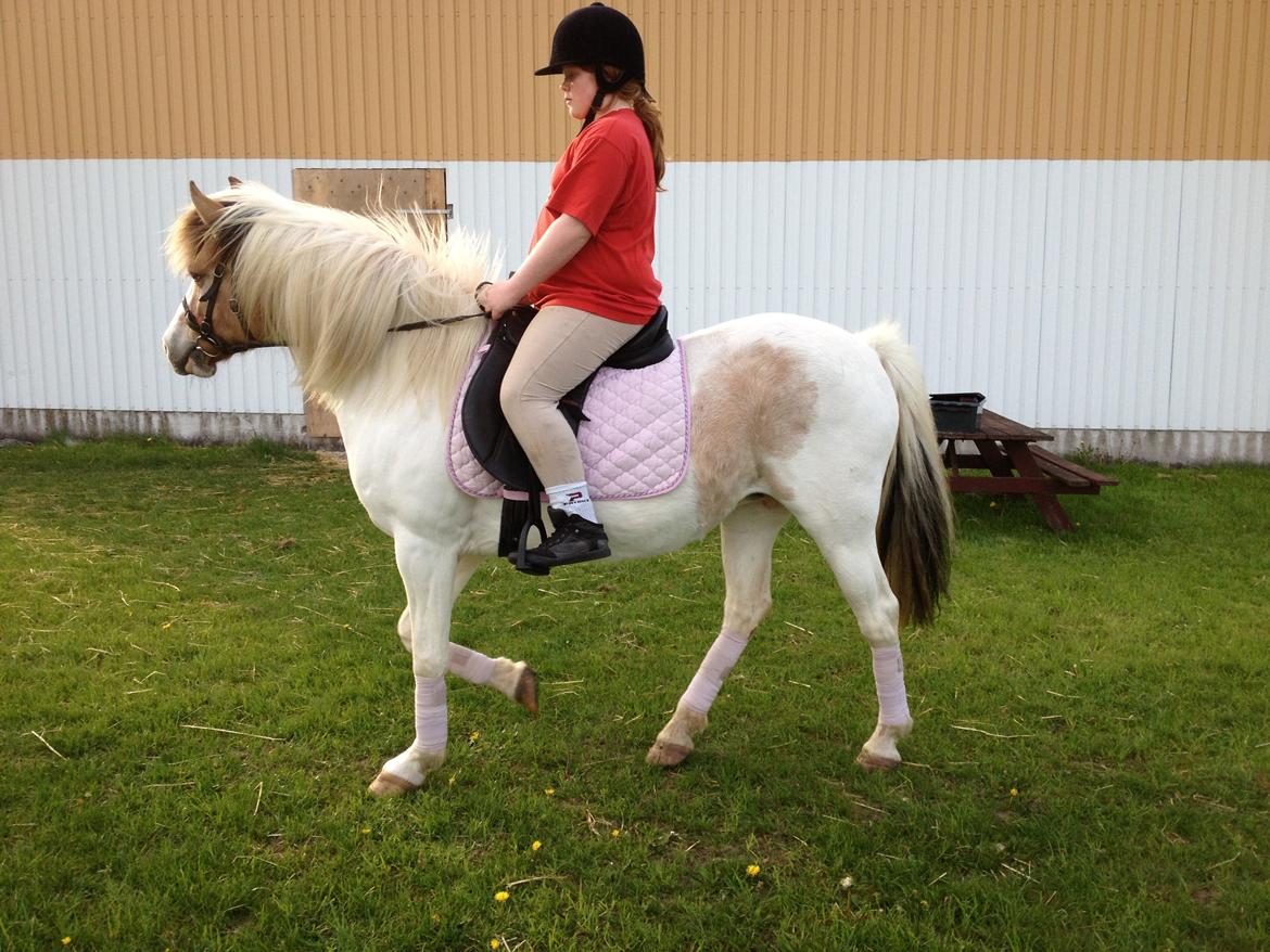 Anden særlig race tessa savner dig:( - nysgerry lille Tessa:) billede 8