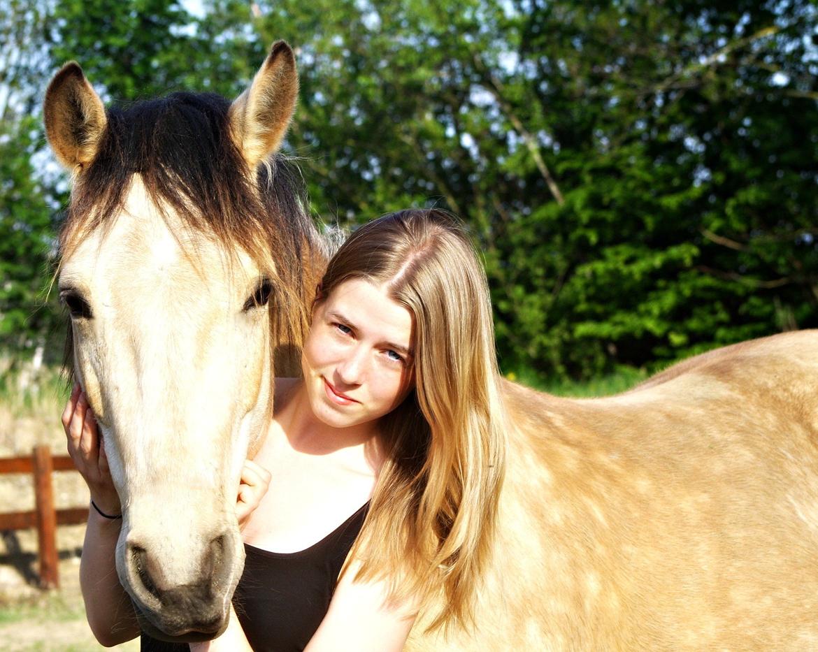 Anden særlig race Hest Jackmann *solgt* billede 1