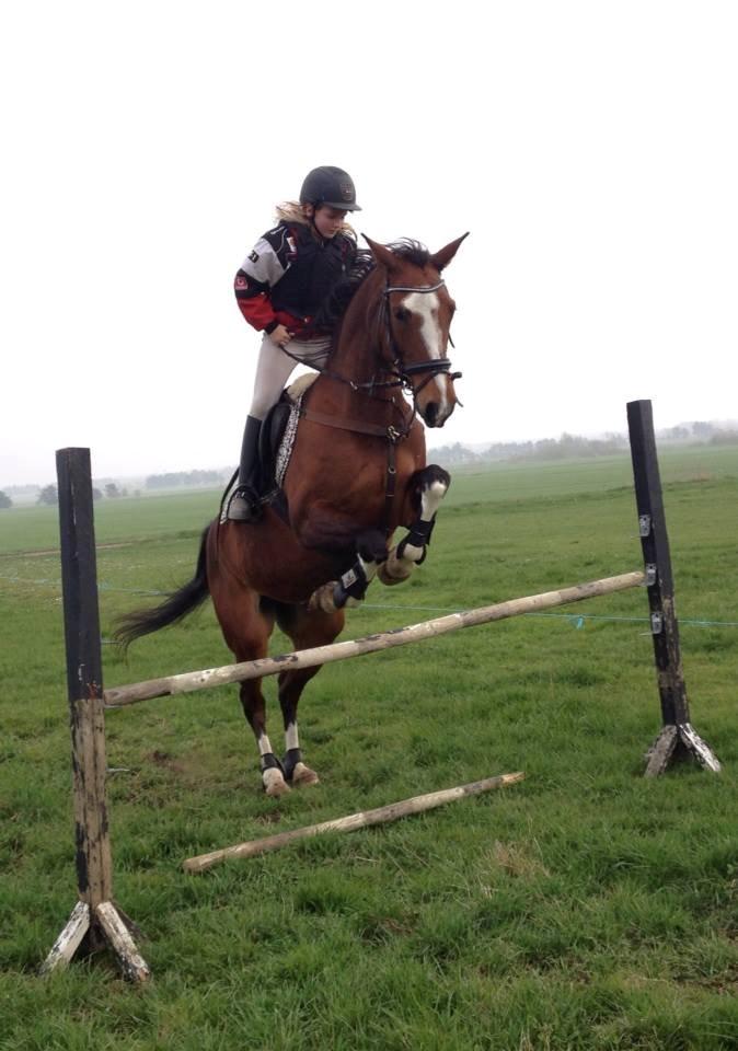 Anden særlig race Wubbi - Springe billede 19