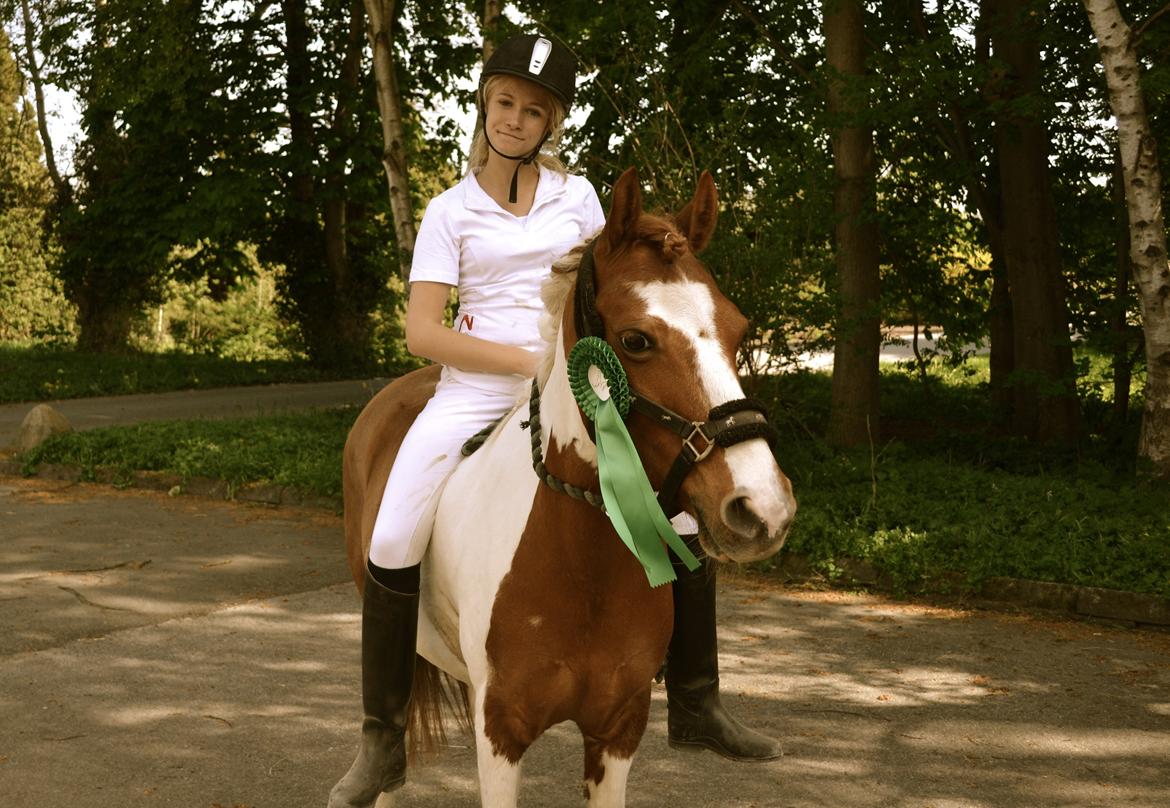 Pinto Blade - 18/5-2013 <3 Andet stævne på Bassen - 4. Plads <3 <3 billede 16