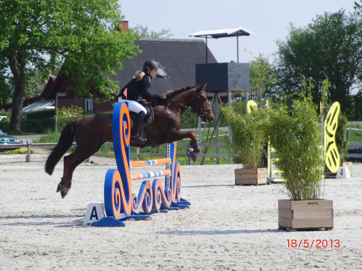 Anden særlig race Bambi - Super fejlfri runde i lb!:-) billede 2