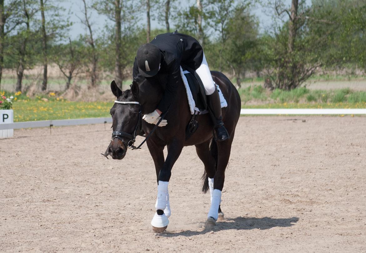 Anden særlig race Bakkegårdens Asterix - The love for a horse is just as complicated as the love for another human being...if you never love a horse, you will never understand. billede 20