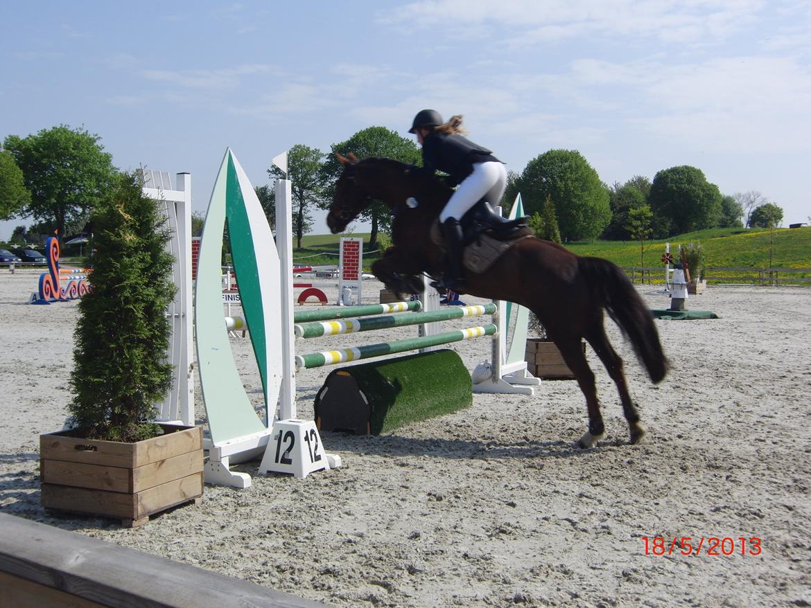 Anden særlig race Bambi - Super fejlfri runde i lb!:-)  billede 11