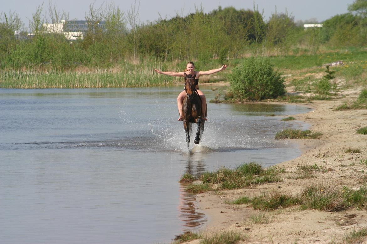 Traver Juvel Møllegaard [HIMMELHEST] - Badedag D 18-5-2013<3 billede 27